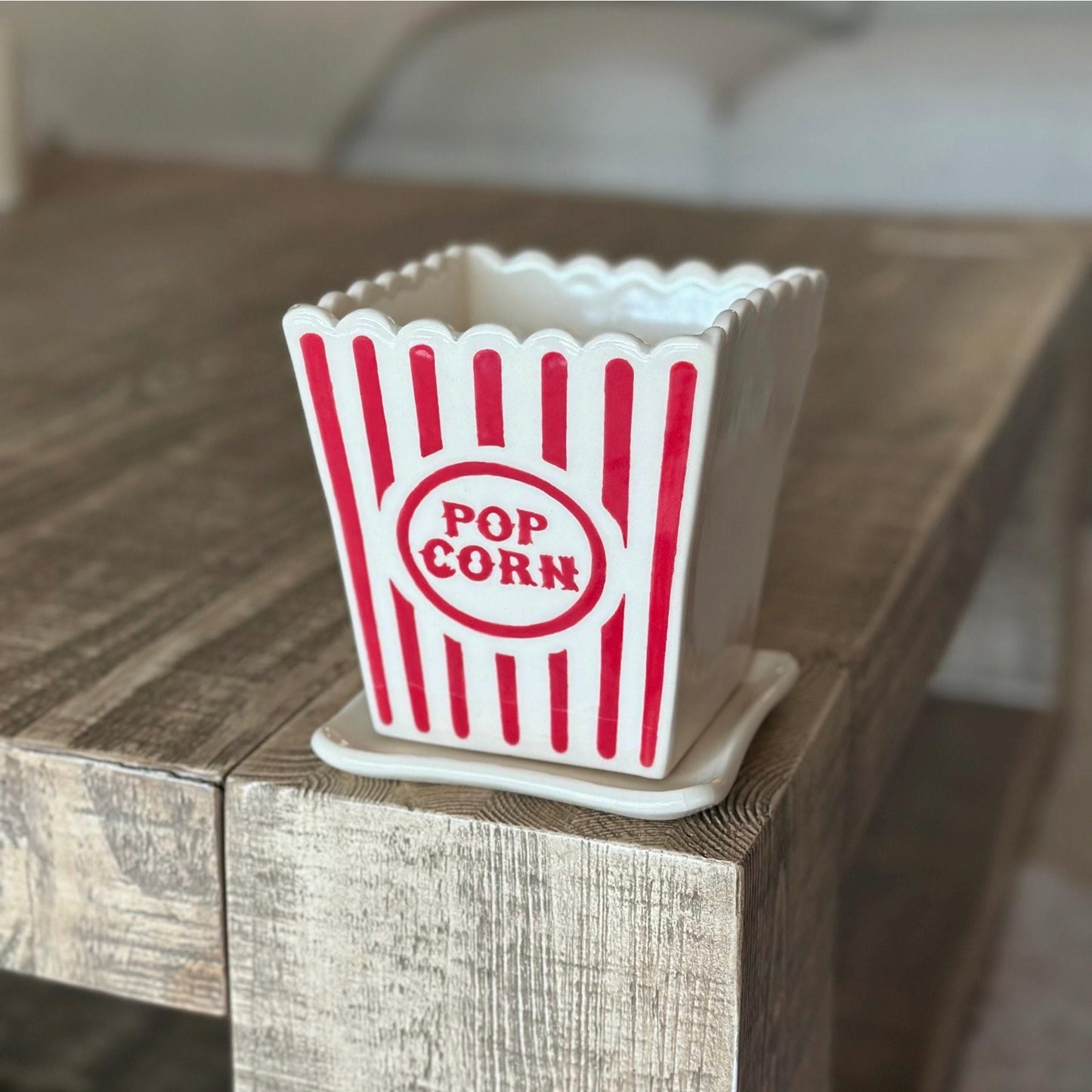 Popcorn Bucket Planter